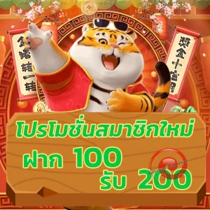 123pro1 เข้าสู่ระบบ